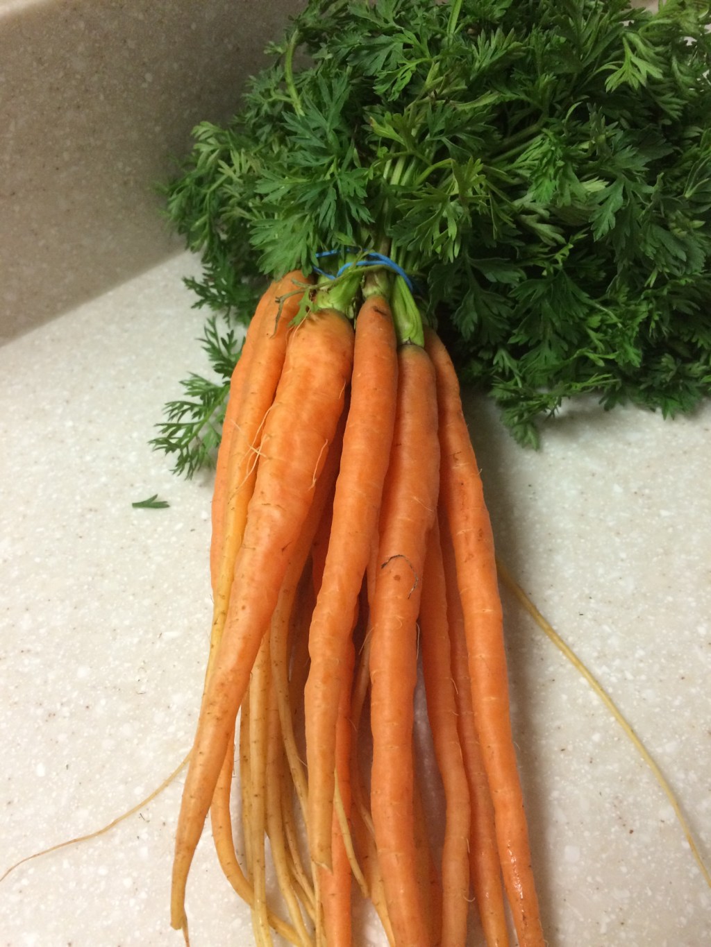 I like it dirty (when it comes to carrots)