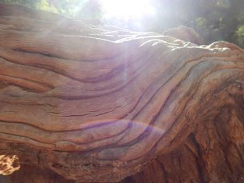 11407148_10204179938290863_165104147376241689_n