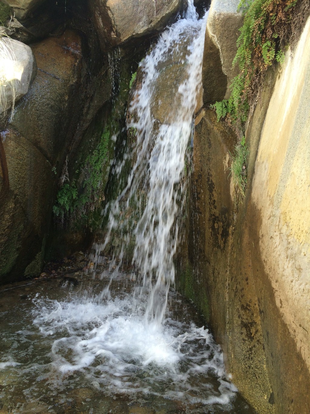 Madera Canyon take 2