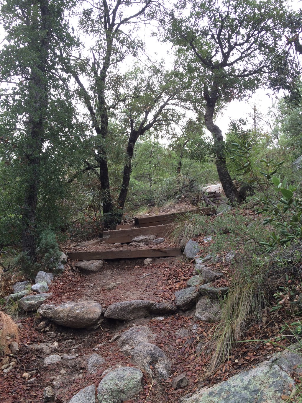 Green Mountain Trail, Big Decisions, and Jessica Valenti