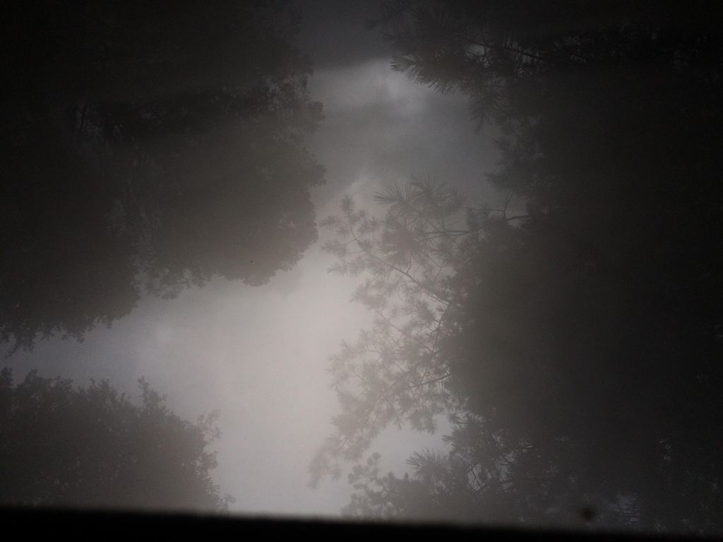 a brief history of hush-hush&nbsp;rape